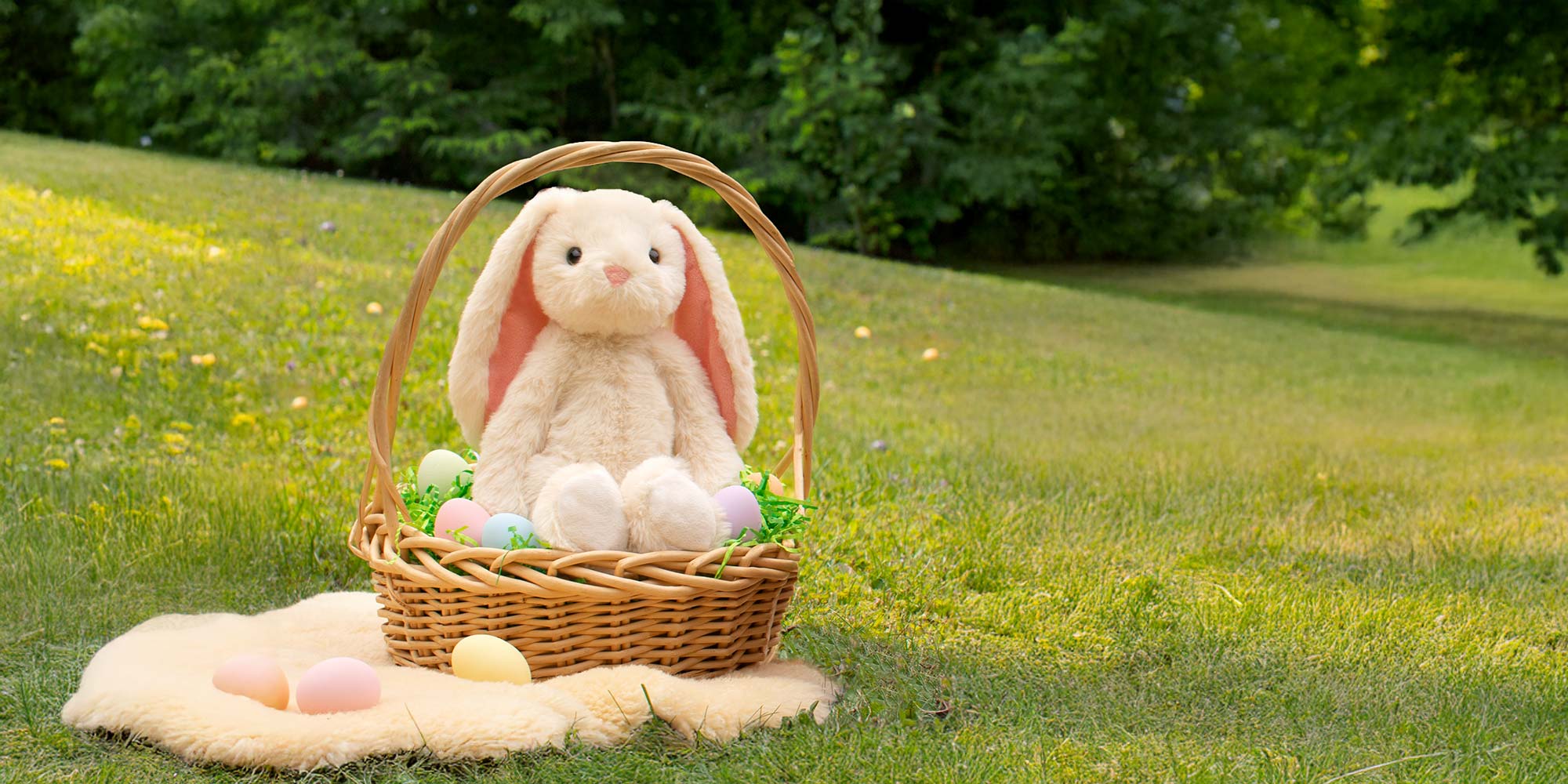 Welcome to Our Store